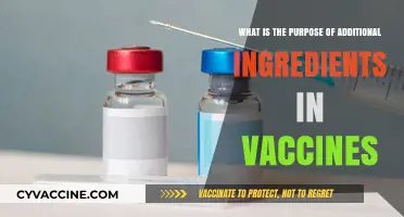 Understanding the Role of Additional Ingredients in Vaccine Formulations