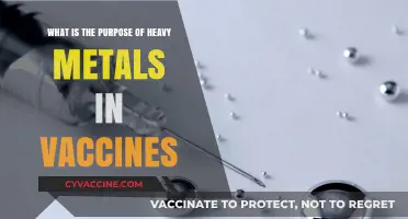 Understanding Heavy Metals in Vaccines: Purpose, Safety, and Science