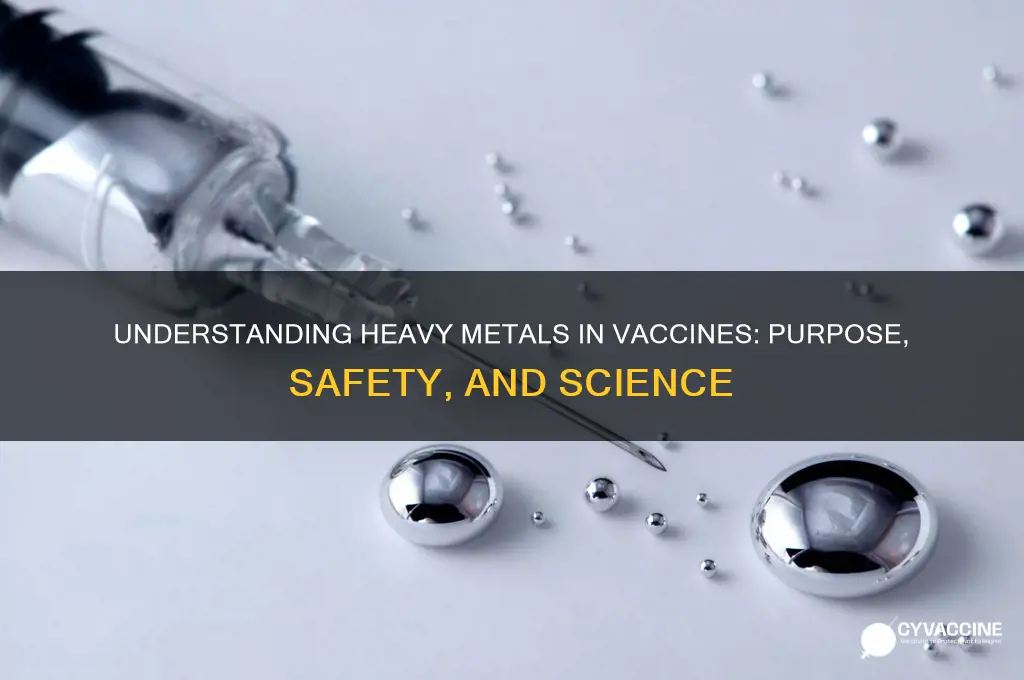 what is the purpose of heavy metals in vaccines