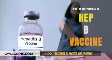 Understanding the Hepatitis B Vaccine: Purpose, Benefits, and Importance