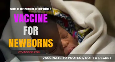 Hepatitis B Vaccine for Newborns: Purpose and Importance Explained