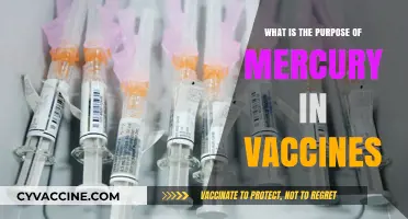 Understanding Mercury's Role in Vaccines: Safety, Myths, and Facts