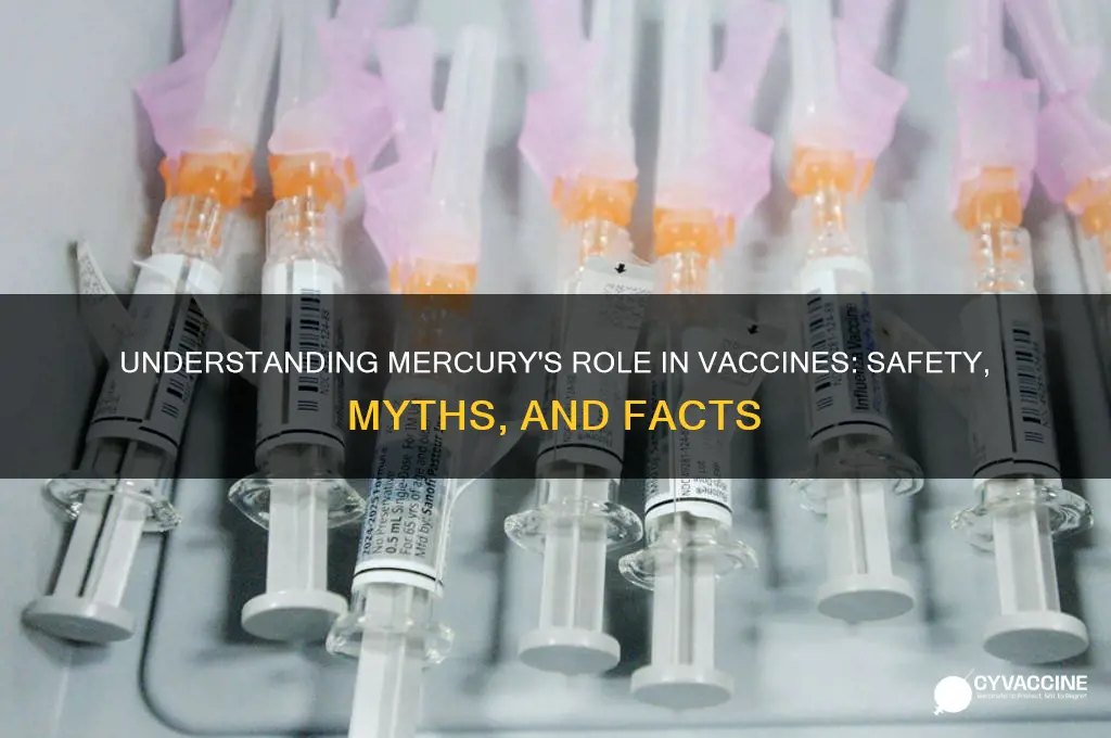 what is the purpose of mercury in vaccines