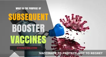 Understanding the Role of Booster Vaccines in Long-Term Immunity