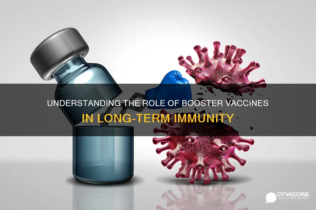 what is the purpose of subsequent booster vaccines