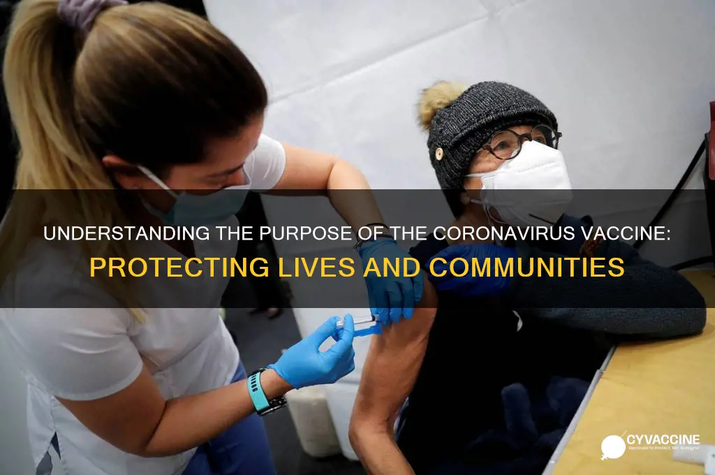 what is the purpose of the corona virus vaccine
