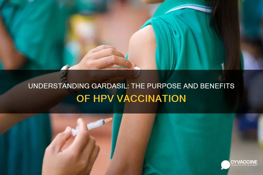 what is the purpose of the gardasil vaccination