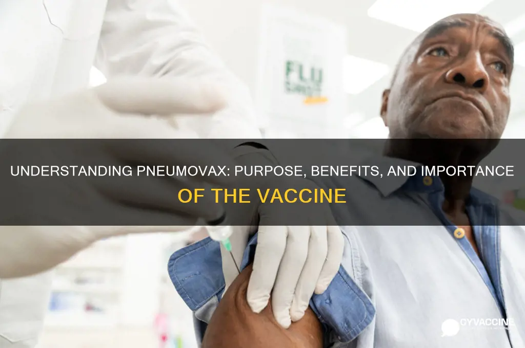 what is the purpose of the pneumovax vaccine