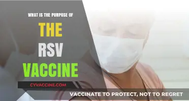 Understanding the RSV Vaccine: Protecting Against Respiratory Syncytial Virus