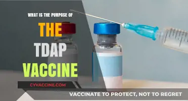 Understanding the TDAP Vaccine: Purpose, Benefits, and Importance