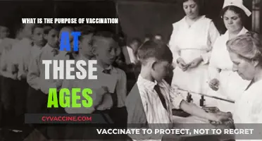 Understanding Vaccination Timelines: Why Ages Matter for Immunization