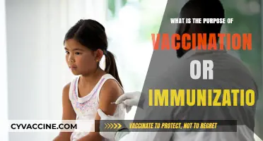 Understanding Vaccination: Protecting Health, Preventing Diseases, and Saving Lives
