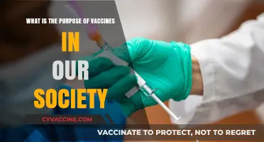 Understanding Vaccines: Protecting Public Health and Preventing Deadly Diseases