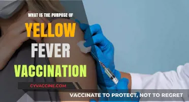 Understanding Yellow Fever Vaccination: Purpose, Benefits, and Global Health Impact