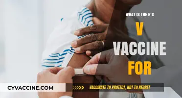 Understanding RSV: The Vaccine's Role in Preventing Respiratory Syncytial Virus