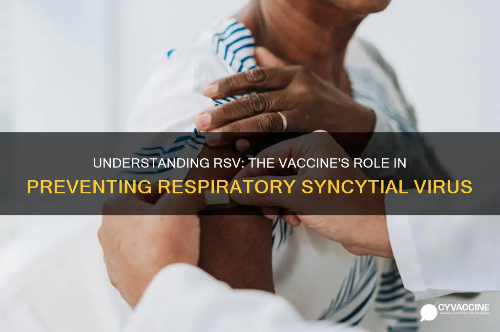 what is the r s v vaccine for