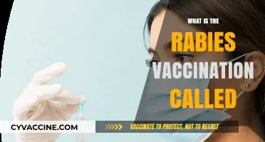 Understanding Rabies Vaccination: What Is the Shot Called and Why It Matters