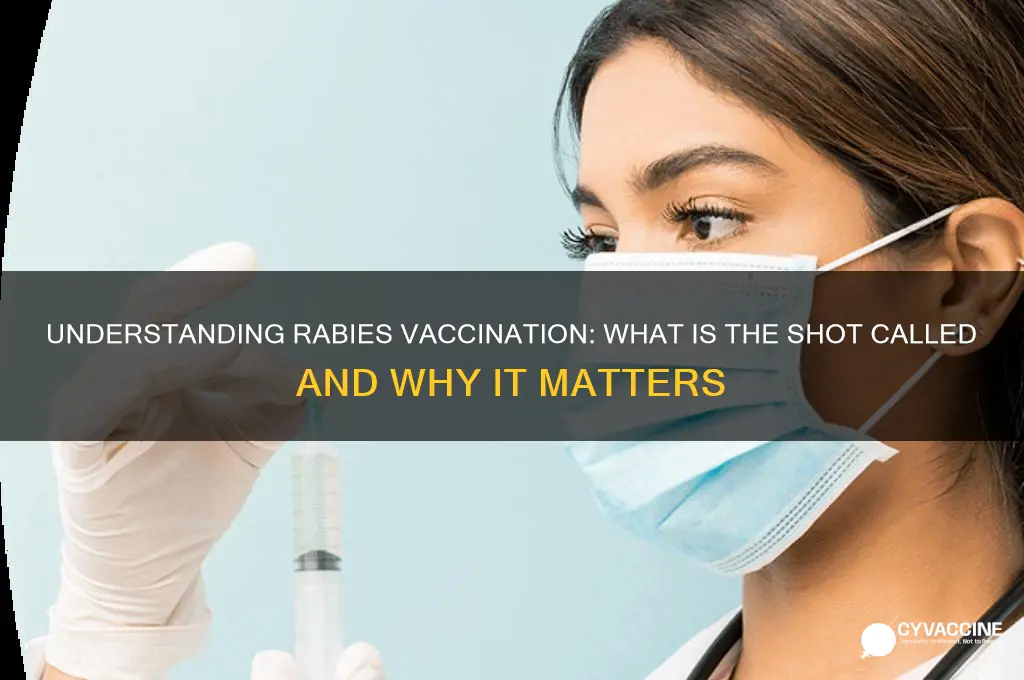 what is the rabies vaccination called