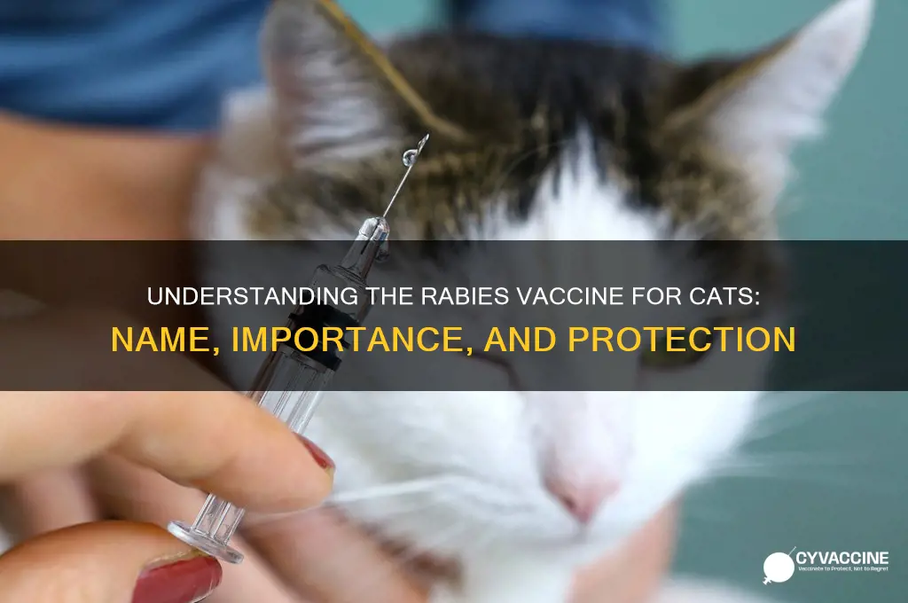 what is the rabies vaccine called for cats