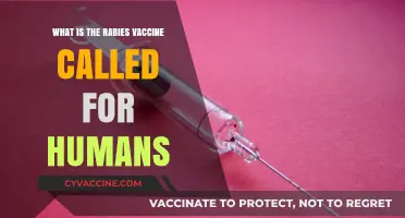Rabies Vaccine for Humans: What's in a Name?