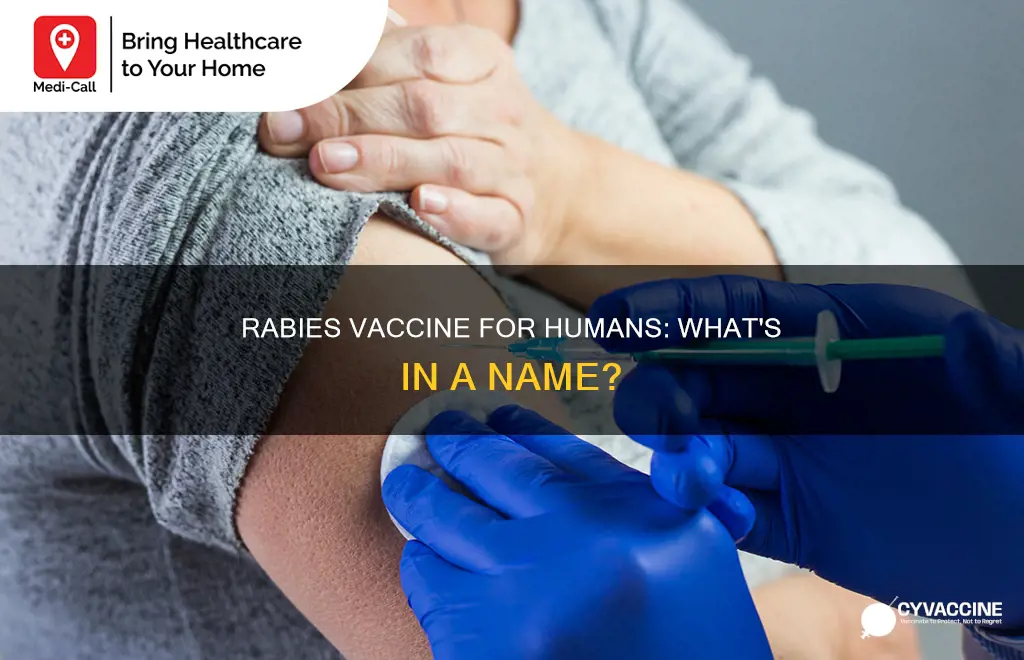 what is the rabies vaccine called for humans