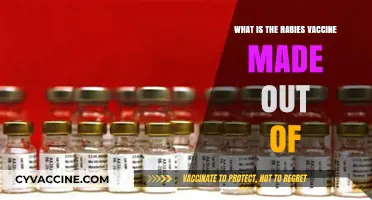 Understanding the Rabies Vaccine: Ingredients and Composition Explained