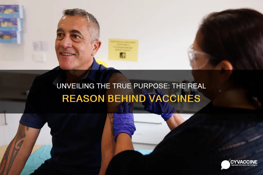 what is the real reason for the vaccine