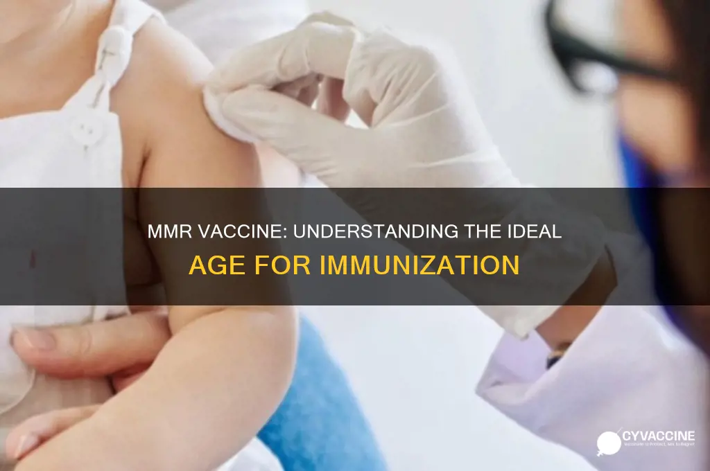 what is the recommended age for an mmr vaccine