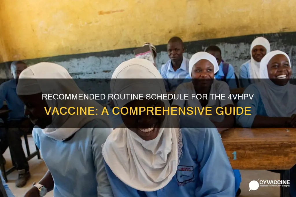 what is the recommended routine schedule for the 4vhpv vaccine