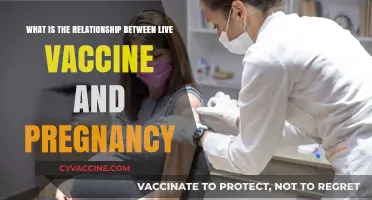 Live Vaccines and Pregnancy: Safety, Risks, and Recommendations Explained