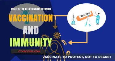 Vaccination and Immunity: Understanding Their Crucial Interconnection for Health
