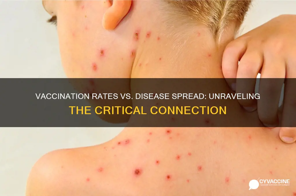 what is the relationship between vaccination rates and disease rates