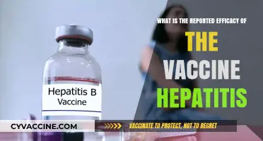 Hepatitis Vaccine Efficacy: Reported Effectiveness and Protection Rates Explained