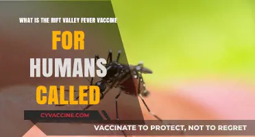 Understanding Rift Valley Fever: Human Vaccine Name and Protection