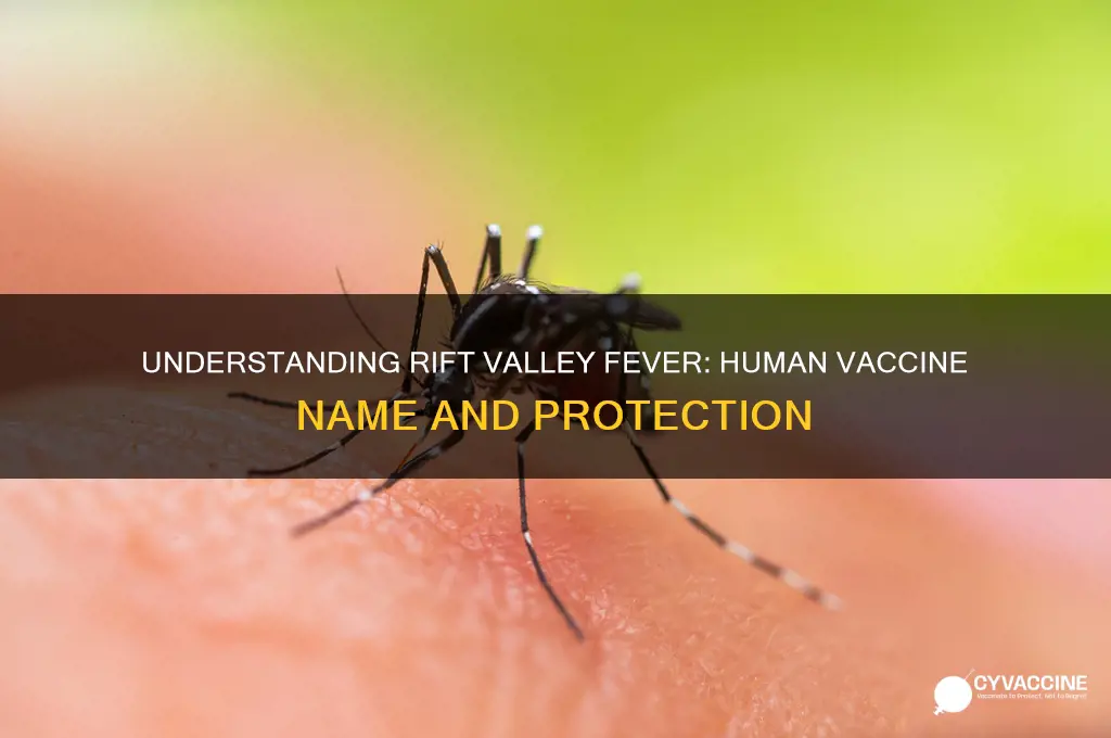 what is the rift valley fever vaccine for humans called