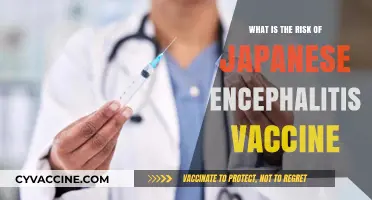 Understanding Japanese Encephalitis Vaccine Risks: What You Need to Know