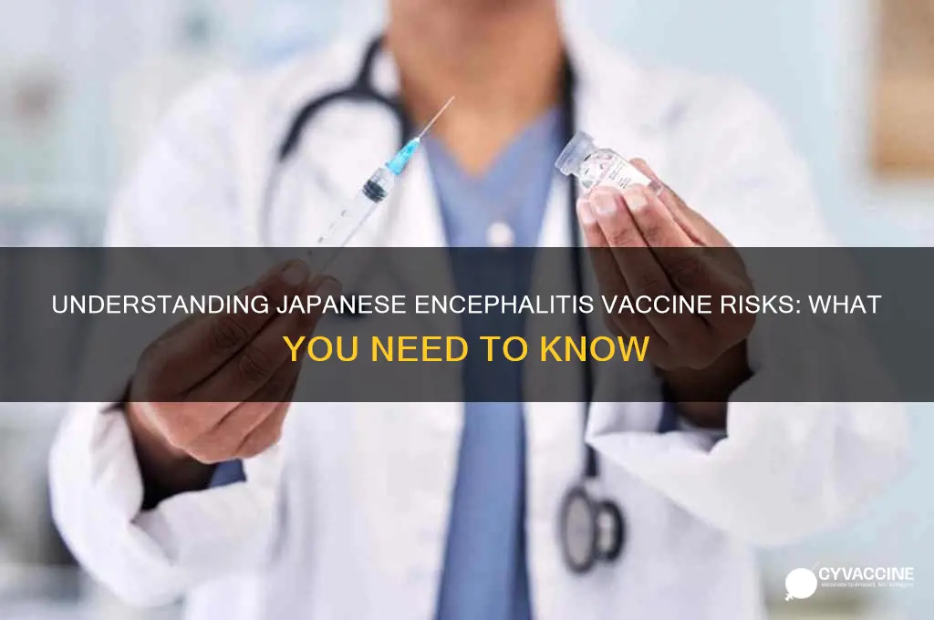 what is the risk of japanese encephalitis vaccine