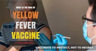 Understanding Yellow Fever Vaccine Risks: What You Need to Know