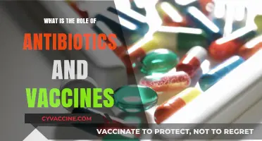 Antibiotics and Vaccines: Their Crucial Role in Modern Medicine