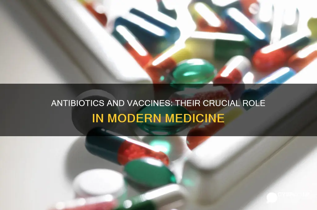 what is the role of antibiotics and vaccines