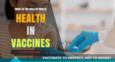 Public Health's Vital Role in Vaccine Development and Distribution