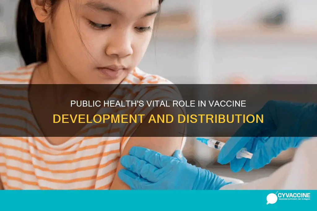 what is the role of public health in vaccines