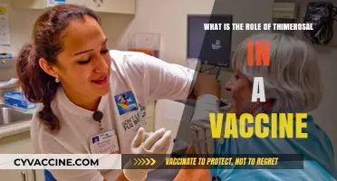Understanding Thimerosal: Its Role and Safety in Vaccines Explained