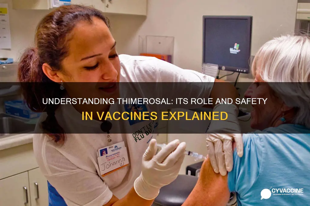 what is the role of thimerosal in a vaccine