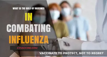 Vaccines: Essential Tools in the Fight Against Influenza Outbreaks