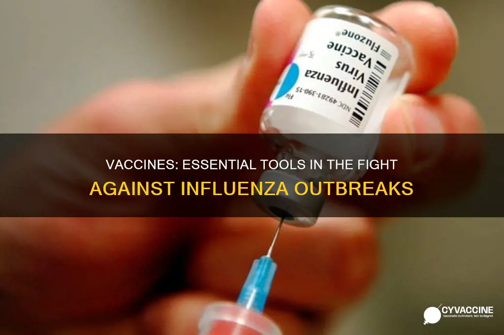 what is the role of vaccines in combating influenza