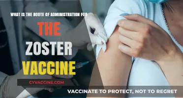 Understanding Zoster Vaccine Administration: Optimal Route for Effective Protection