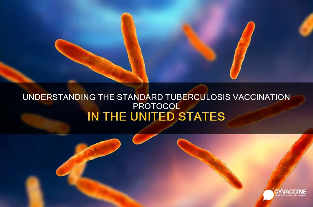 what is the routine vaccine for tuberculosis in the usa