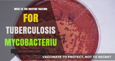 Understanding Routine Tuberculosis Vaccines: Mycobacterium Protection Explained