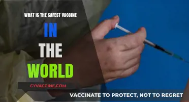 Exploring the Safest Vaccine Globally: Facts, Evidence, and Expert Insights